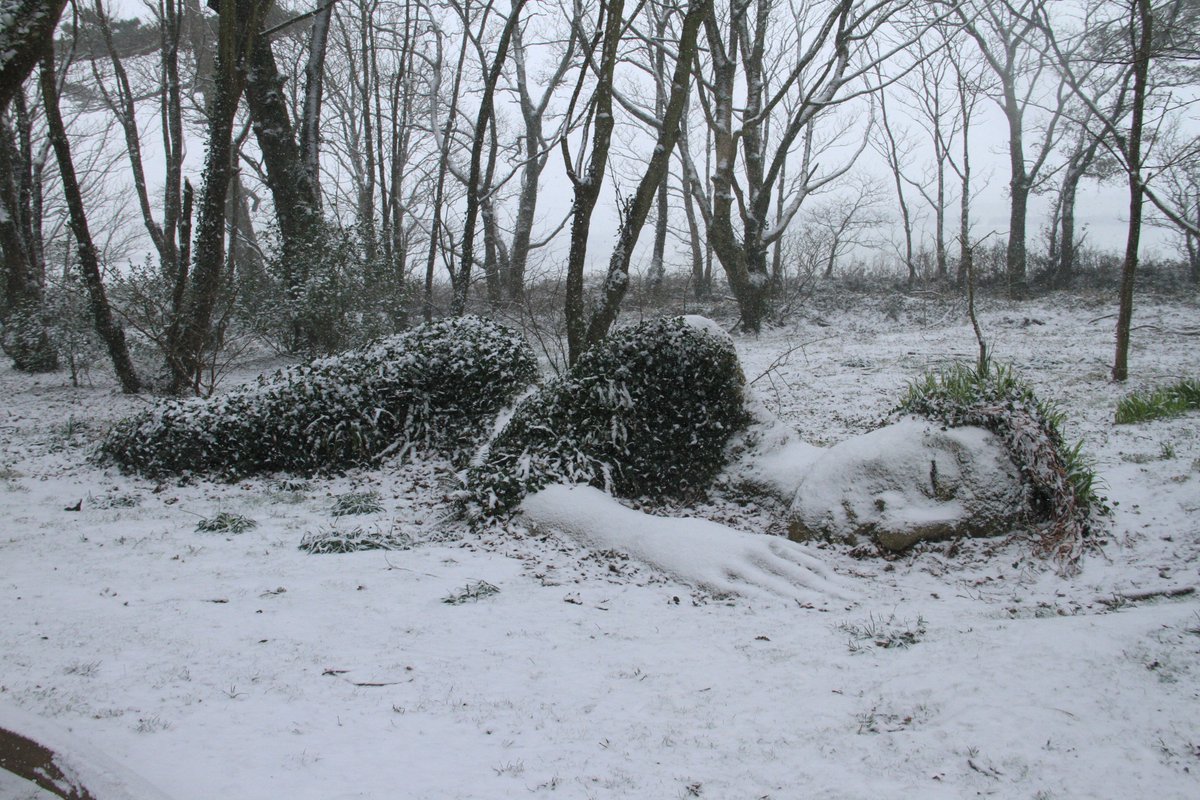 Грязевая дева в снегу