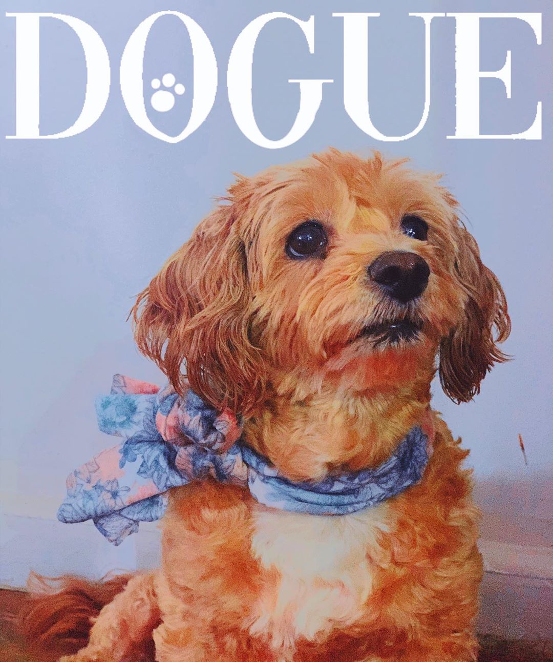 Обложка Dogue 1