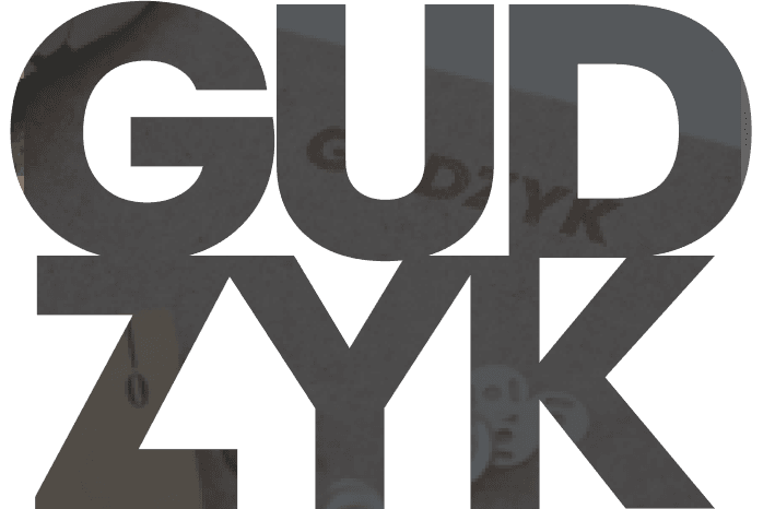 Социальный проект Gudzyk