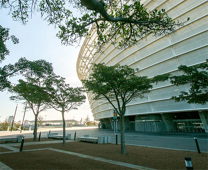 Деревья возле стадиона