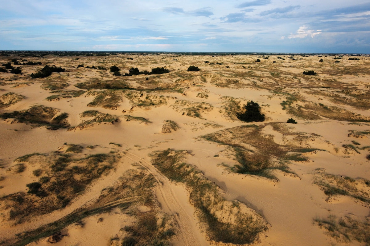 Алешковские пески в Херсонской области
