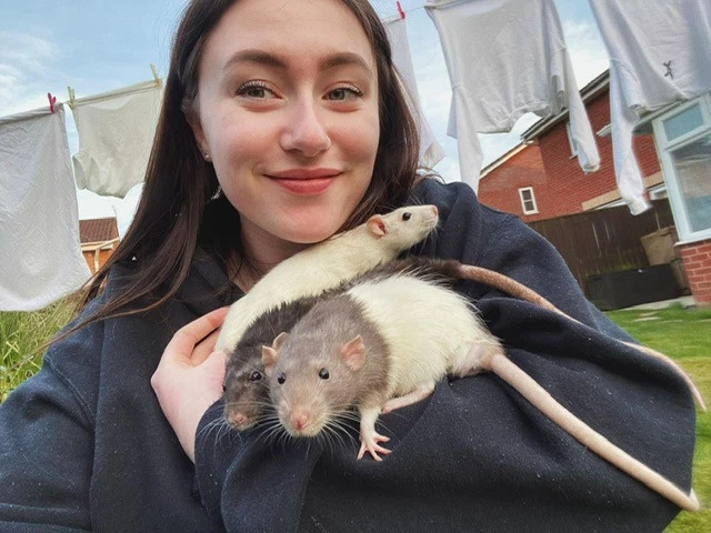 Женщина в обнимку с крысами