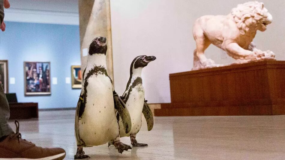 Два пингвина и скульптура льва
