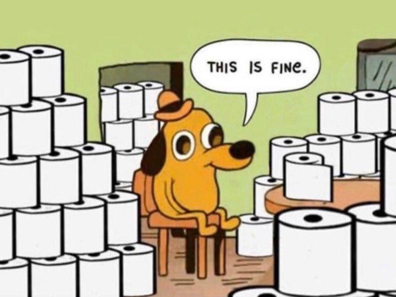 Пес сидит в туалетной бумаге
