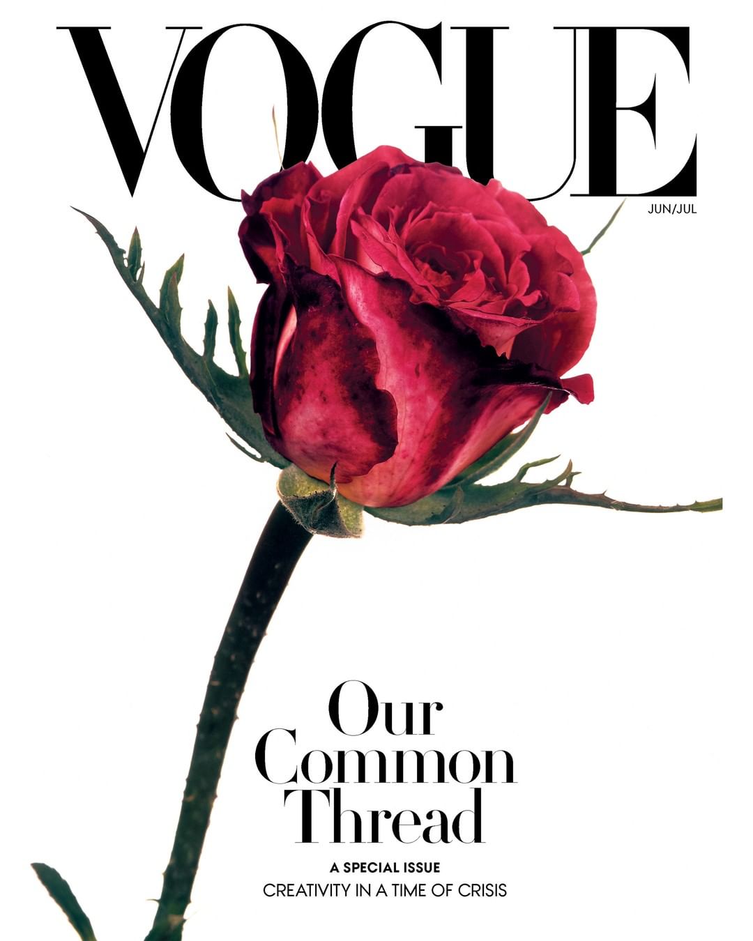Июньский выпуск Vogue с розой на обложке Vogue с розой