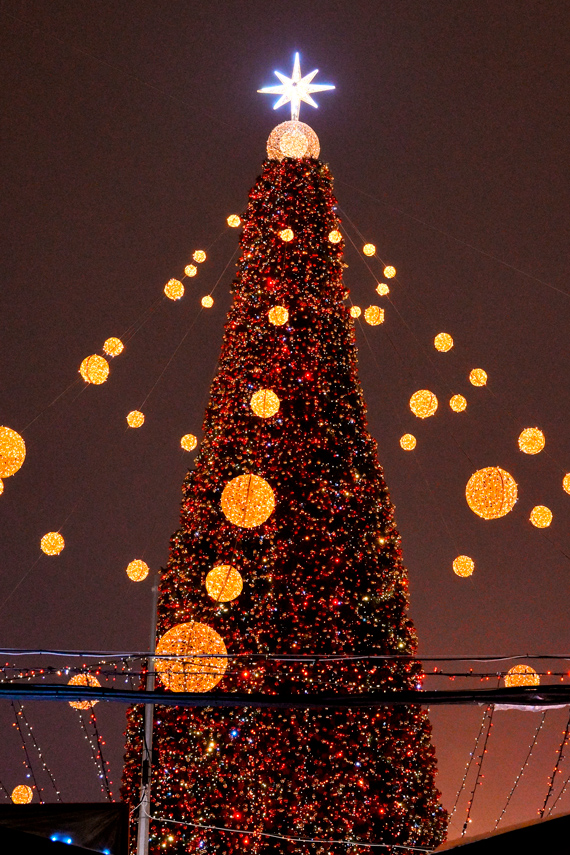 На верхушке главной елки — рождественская звезда