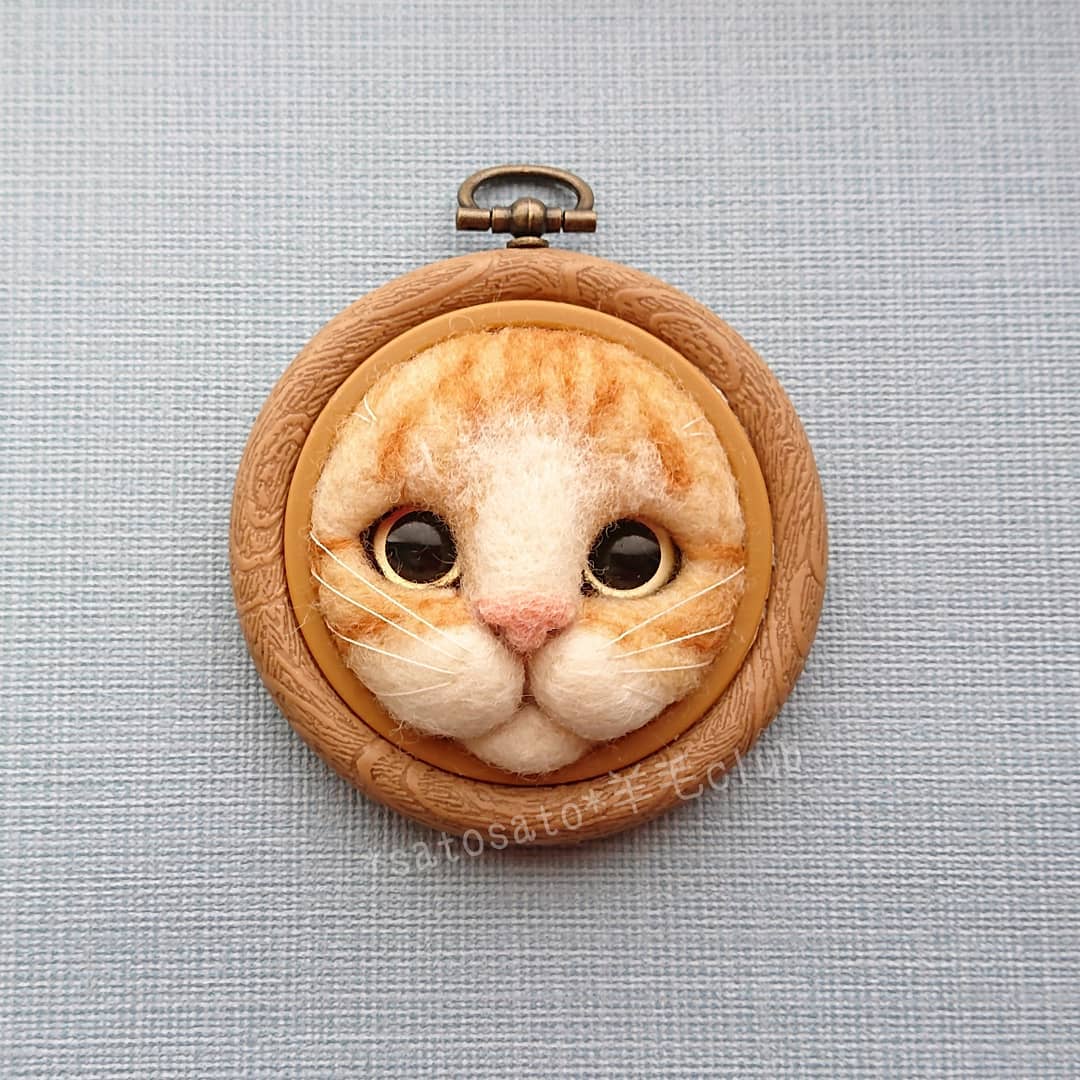 Кошачьи мордочки в деревянной рамке 11 Коты шерсть 11