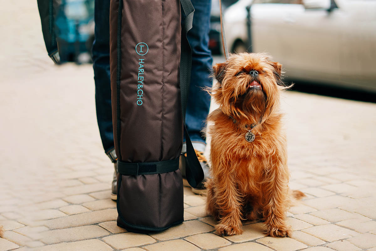 Travel roll up mat от Harley & Cho Прогулочный коврик для собак