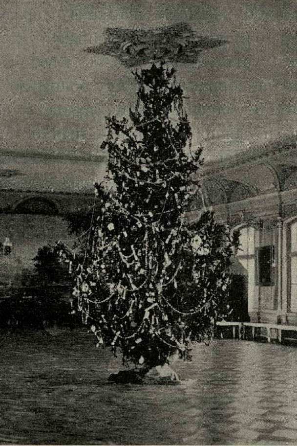 Знімок новорічної ялинки в 1905 році