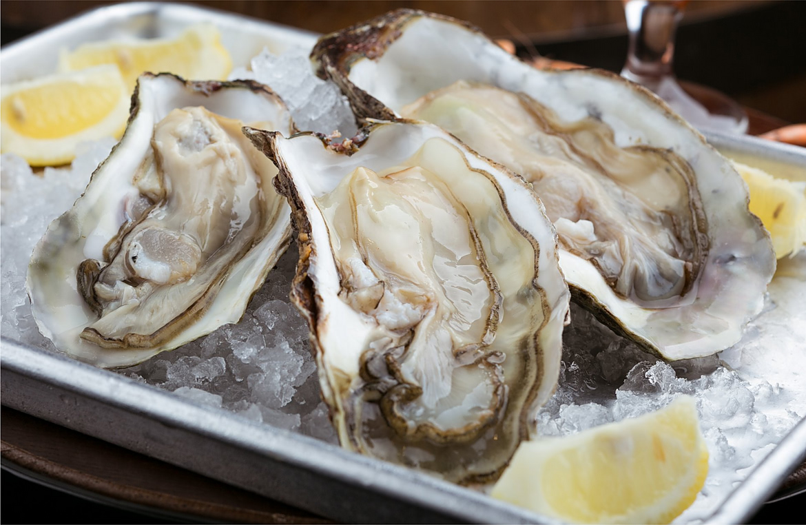 Mushlya Bar Gastrofamily