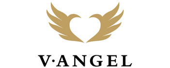 V•Angel логотип