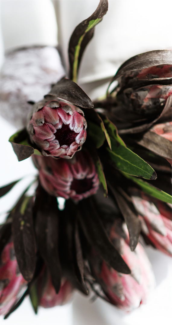 Itis flowers protea букет