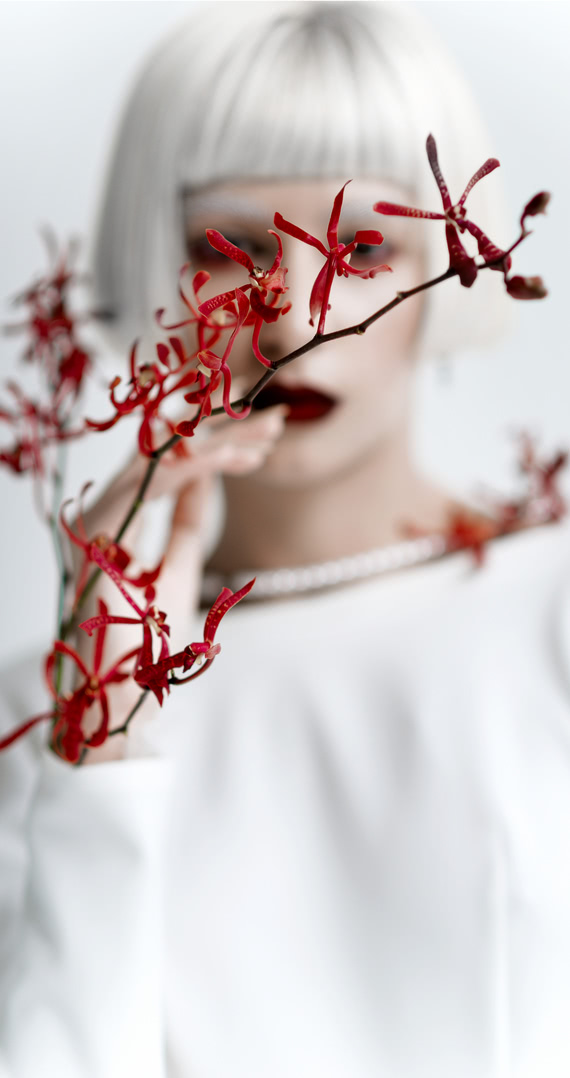 Itis flowers дендробиум букет флорист